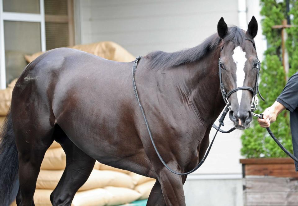 　クラヴァシュドール