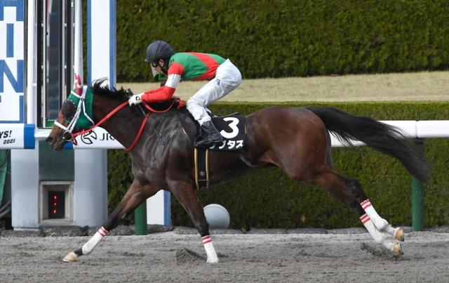 【ポラリスＳ】ラプタス力強く抜け出し快勝　幸はレース内容を評価