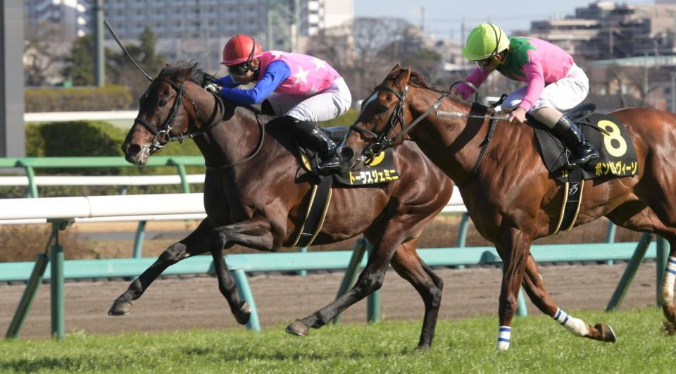 　東風Ｓを制したトーラスジェミニ（奥）騎乗した原は特別初勝利（撮影・三好信也）