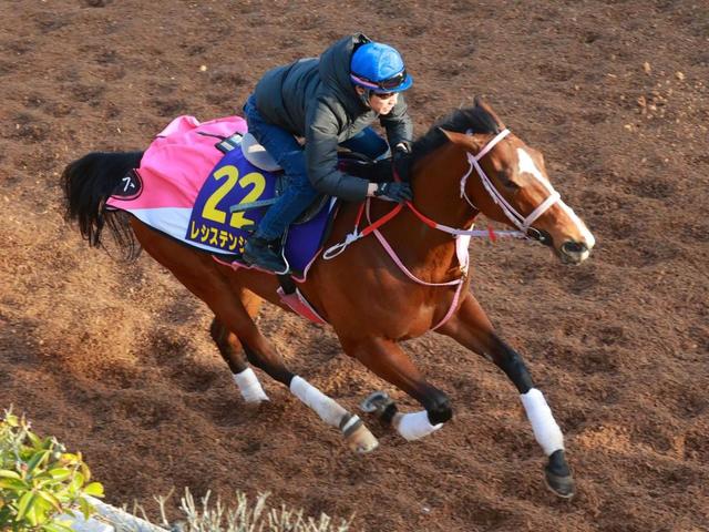 高松宮記念 レシステンシア スピード全開 ２つ目ｇ１タイトル奪取へ調整余念なし 競馬 レース デイリースポーツ Online