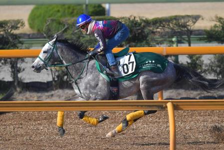 　栗東ＣＷで軽快な走りを披露したゴースト（撮影・石湯恒介）