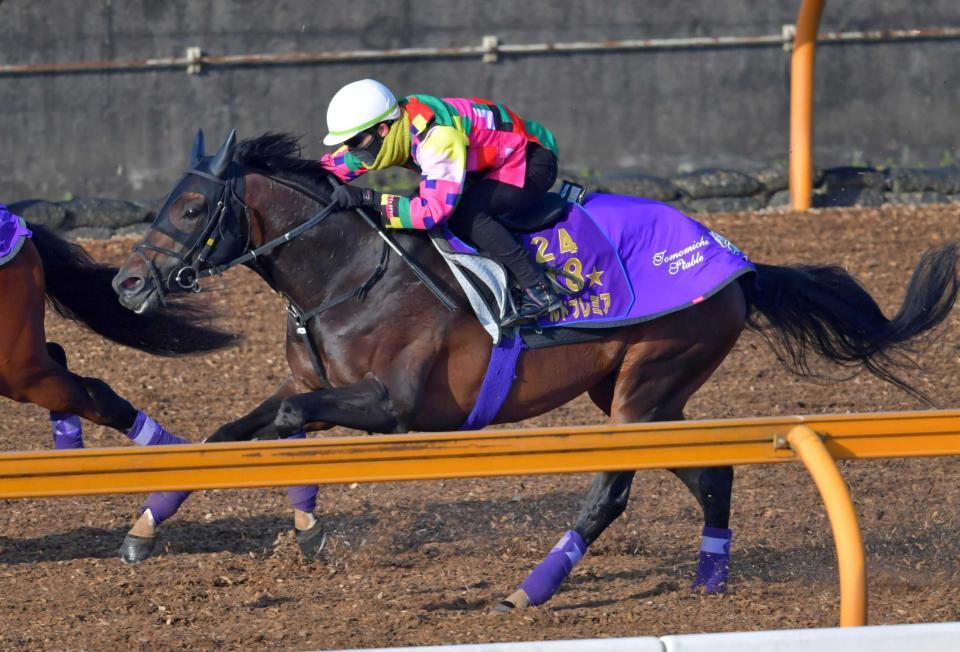 　栗東ＣＷで追い切るワールドプレミア