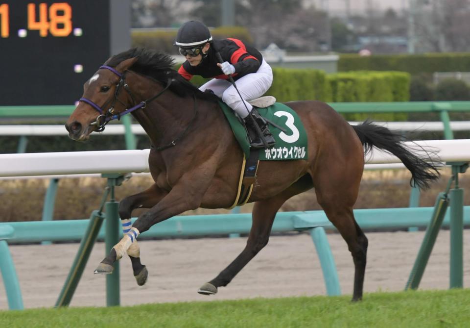 中山１１Ｒ、フラワーカップを制した＝中山競馬場（撮影・三好信也）