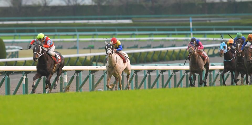 後続を引き離すディープボンド（左端）＝阪神競馬場（撮影・石湯恒介）