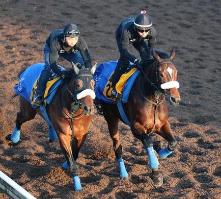 　美浦坂路での併せ馬で好仕上がりをアピールしたカレンブーケドール（右）