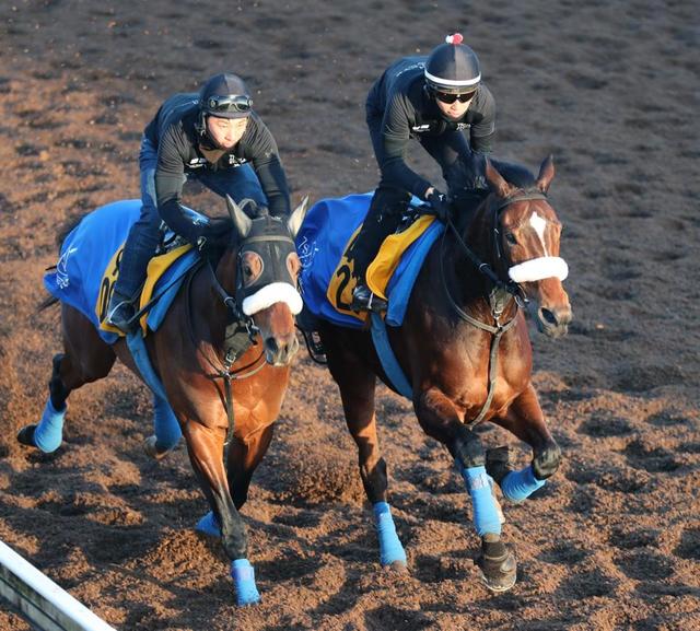 【日経賞】カレンブーケドール 動きハツラツ　国枝師は重賞初Ｖへ期待