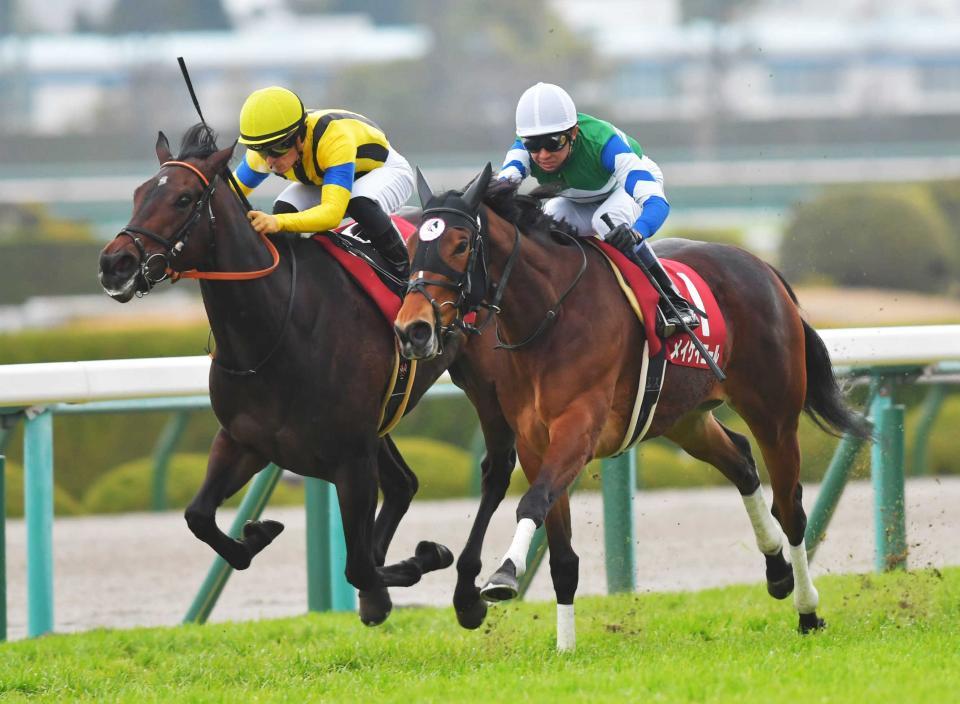 　メイケイエール＝チューリップ賞