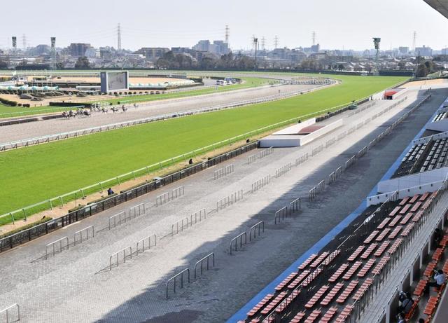 【危険な人気馬】中山11Ｒに登場の重賞好走馬　動きが物足りない