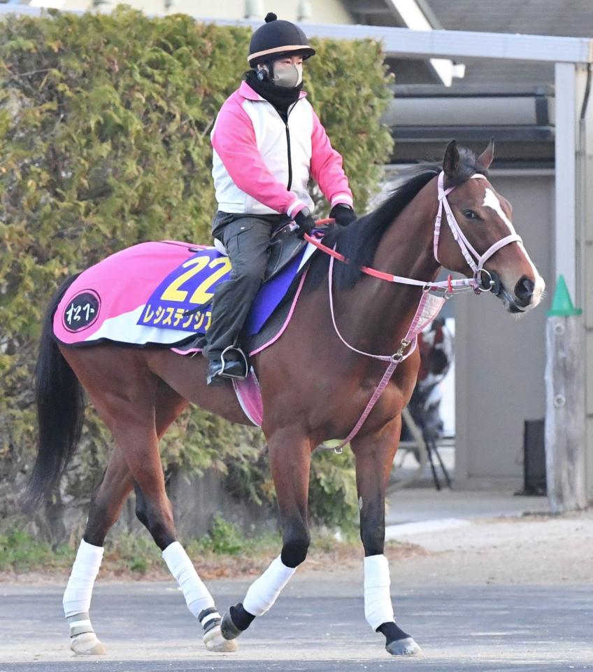 高松宮記念 展開から浮上するのはこの馬だ 競馬 レース デイリースポーツ Online