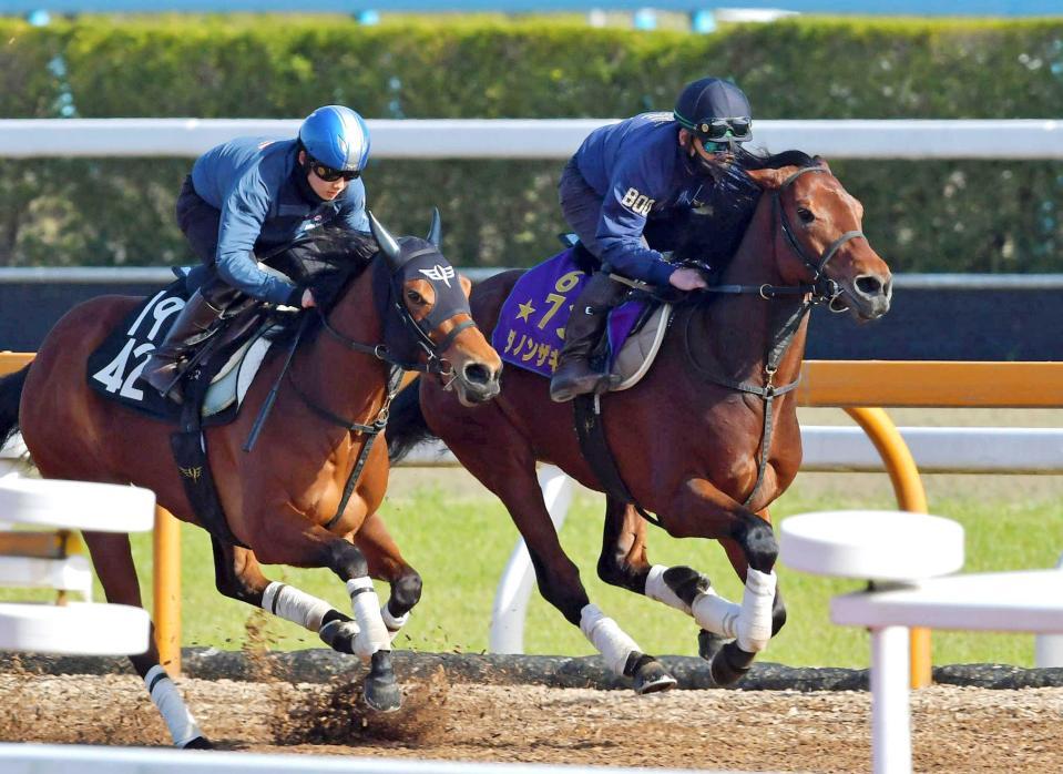 　余力十分に併入したダノンザキッド（右）＝撮影・石湯恒介