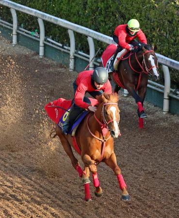 　強めに追われたハッピーグリン（手前）＝撮影・石湯恒介