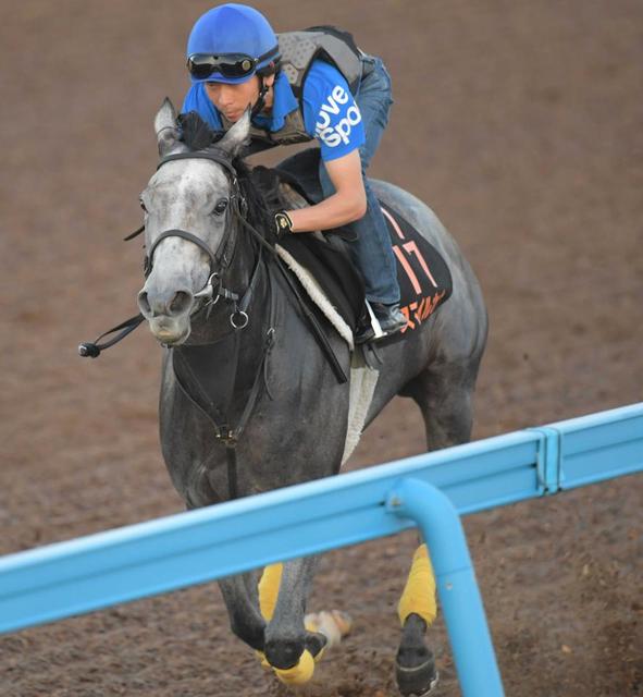 中山 阪神の危険な人気馬 中山１１ｒ スマイルカナ 競馬 レース デイリースポーツ Online