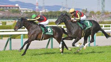 毎日杯を勝ったシャフリヤール（左）と２着グレートマジシャン