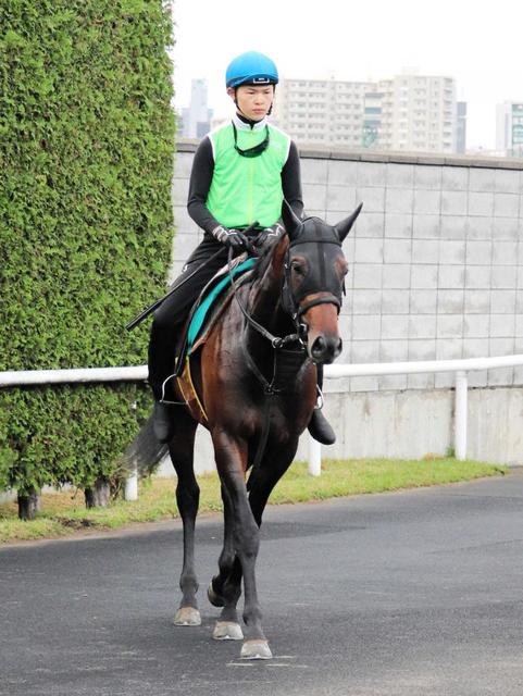 オーソクレースが皐月賞見送り　近日中に放牧へ