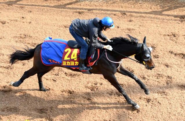 【桜花賞】ヨカヨカ動き良好　九州産馬初のＧ１獲りへ！幸「普通にいい馬ですから」