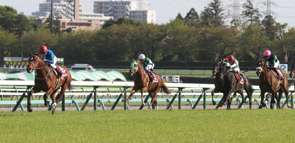 　逃げて後続を突き放すバスラットレオン（左端）