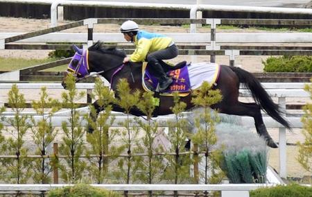 　飛越するメイショウダッサイ（撮影・佐々木彰尚）