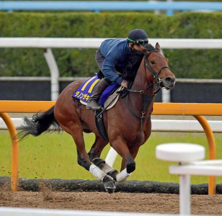 　栗東ＣＷでしっかり負荷をかけられたダノンザキッド（撮影・石湯恒介）