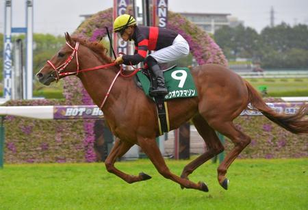 アーリントンＣを制したホウオウアマゾン＝阪神競馬場（撮影・石湯恒介）