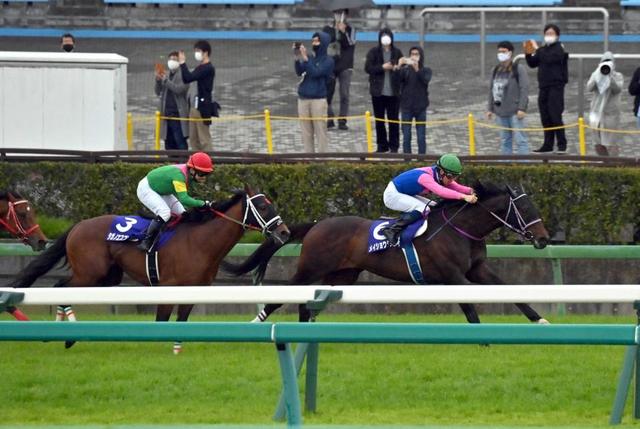 【中山グランドＪ】メイショウダッサイ　秋春ＪＧ１連勝　新時代の到来示す圧倒劇