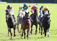 　見事に１冠目を奪取したエフフォーリア（中央）＝撮影・三好信也