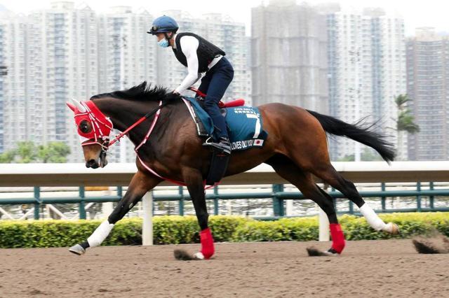 競馬 ラヴズオンリーユー レインボーカード15枚限定 定価安い カラフル