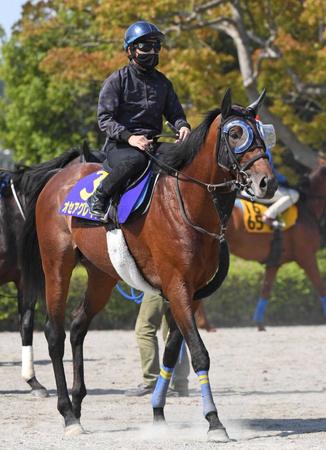 　長丁場で存在感を発揮するオセアグレイト