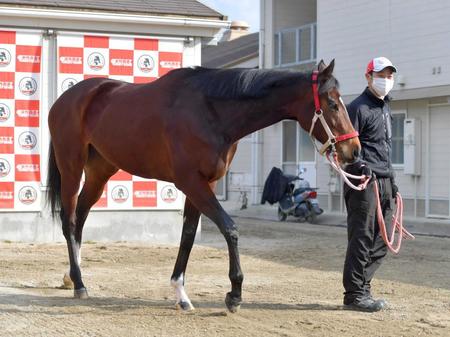 　ラヴズオンリーユー