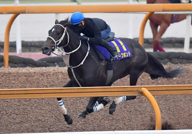 天皇賞 ディープボンド豪快走 朝一番の栗東ｃｗを大跳び一気 仁川開催は追い風に 競馬 レース デイリースポーツ Online