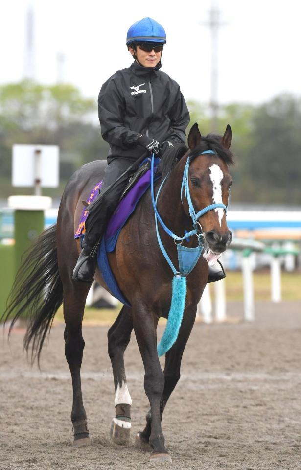 オジュウチョウサンが退院へ 全治６カ月、骨折の手術が終了/競馬・レース/デイリースポーツ online