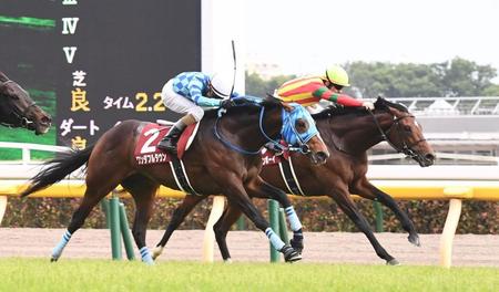 ダービー出走権をゲットしたワンダフルタウンと２着のキングストンボーイ（右）＝東京競馬場（撮影・園田高夫）