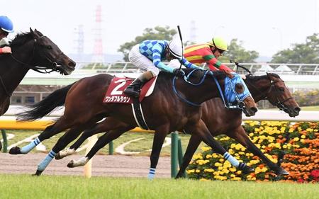 青葉賞を制しダービー出走権を得たワンダフルタウンとキングストンボーイ（右）＝撮影・園田高夫