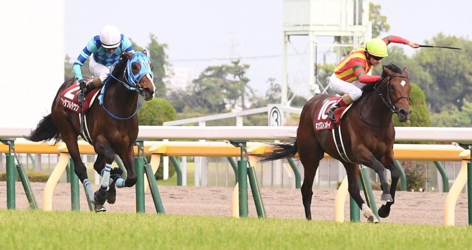 青葉賞を制したワンダフルタウンと２着のキングストンボーイ（右）＝撮影・園田高夫