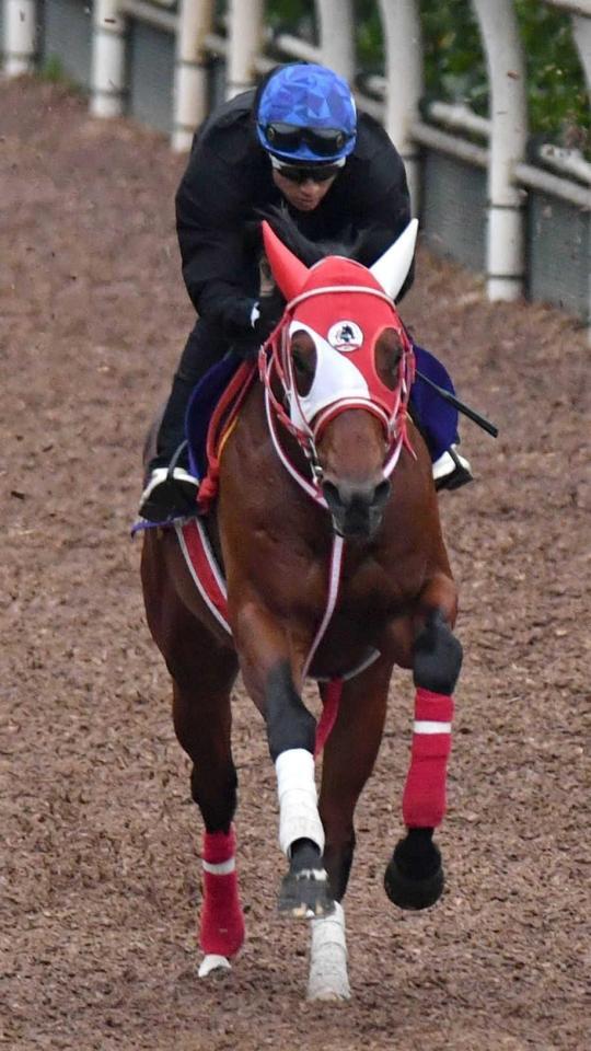 　上昇ムードのバスラットレオン