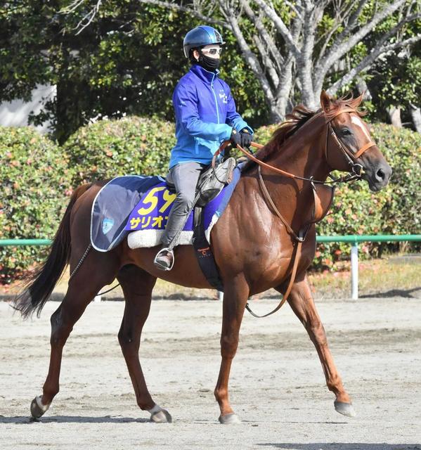 サリオスは松山とのコンビで安田記念へ