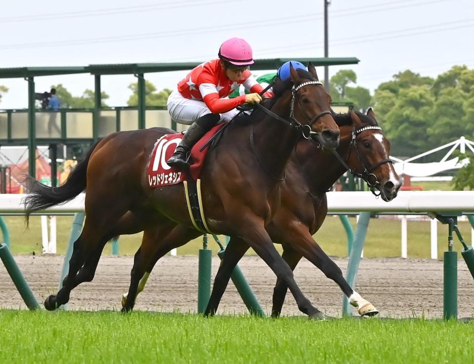 　ルペルカーリア（奥）と競り合うレッドジェネシス