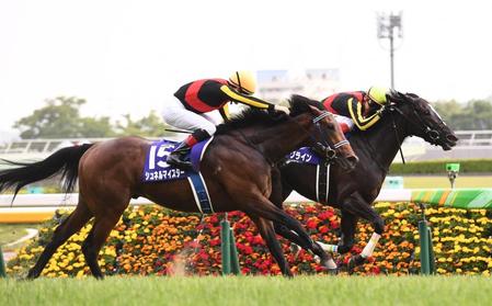 ソングライン（右）を抑えＮＨＫマイルＣを制したシュネルマイスター＝東京競馬場（撮影・園田高夫）