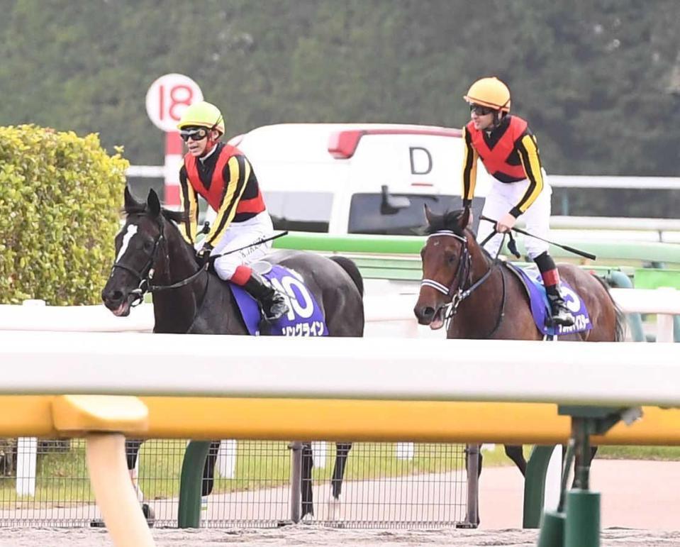 　シュネルマイスターと並んで引き揚げるソングライン（左）と池添