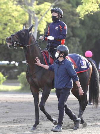 　しっかりと乗り込まれてきたファインルージュ