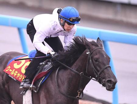 　初コンタクトを取った武豊とクールキャット