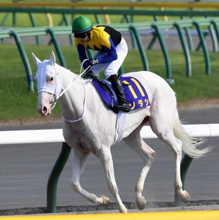 　１番人気も８着に終わったソダシ（撮影・三好信也）