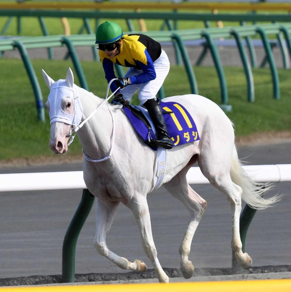 　１番人気も８着に終わったソダシ（撮影・三好信也）