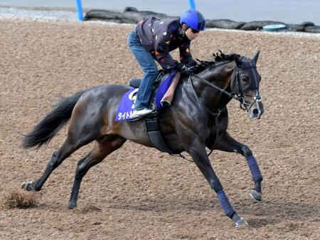 　軽快な走りを見せたタイトルホルダー