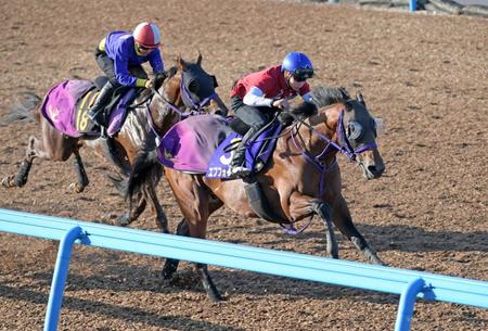 　余力十分に最先着したエフフォーリア（右）＝撮影・三好信也