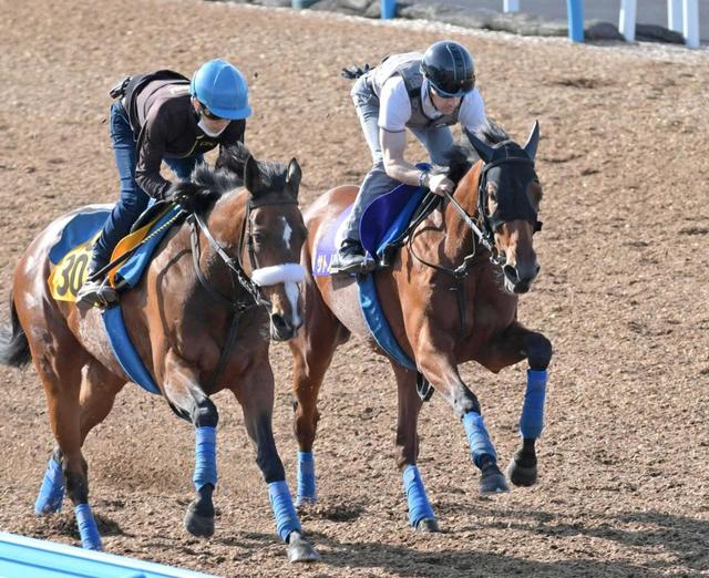 【日本ダービー】サトノレイナス偉業へ状態バッチリ　史上４頭目牝馬ダービー制覇挑む