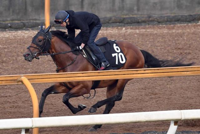葵ｓ ダディーズビビッドは好調キープ 馬なりで一気に加速 ラスト１ｆ１２秒１ 競馬 レース デイリースポーツ Online