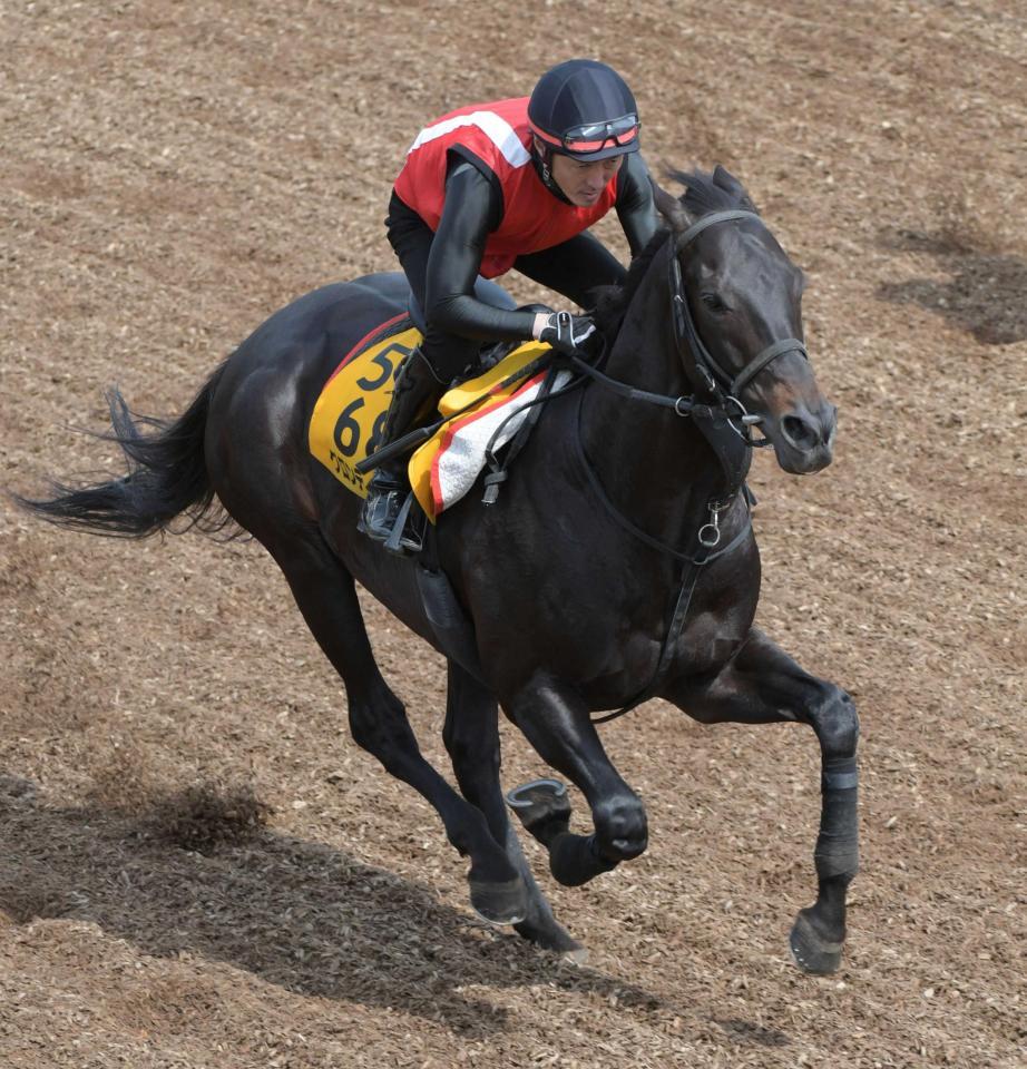 目黒記念 グロンディオーズ万全 春盾見送りここ一本で文句なしの仕上げ 競馬 レース デイリースポーツ Online