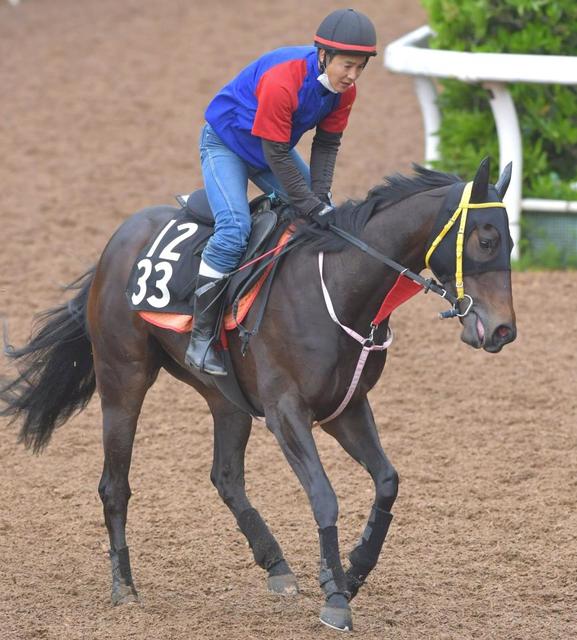 中京 東京の危険な人気馬 中京１１ｒ ヨカヨカ 競馬 レース デイリースポーツ Online