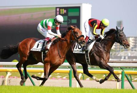 　エフフォーリア（左）と競り合ってゴールするシャフリヤール（撮影・石湯恒介）