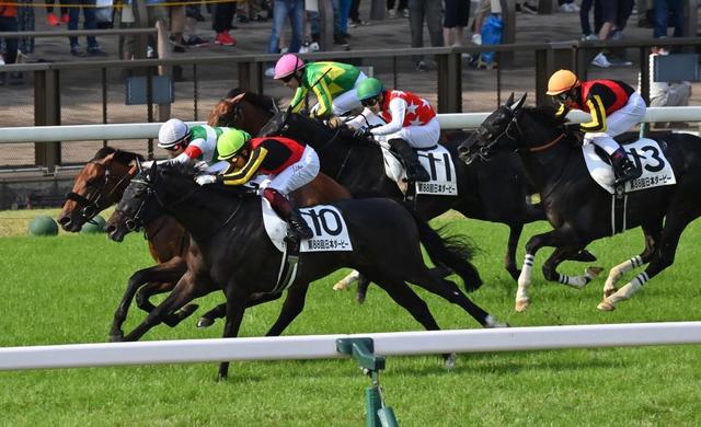 【日本ダービー】ノーザンファームが掲示板独占　史上最多１２頭出しで通算１０勝目